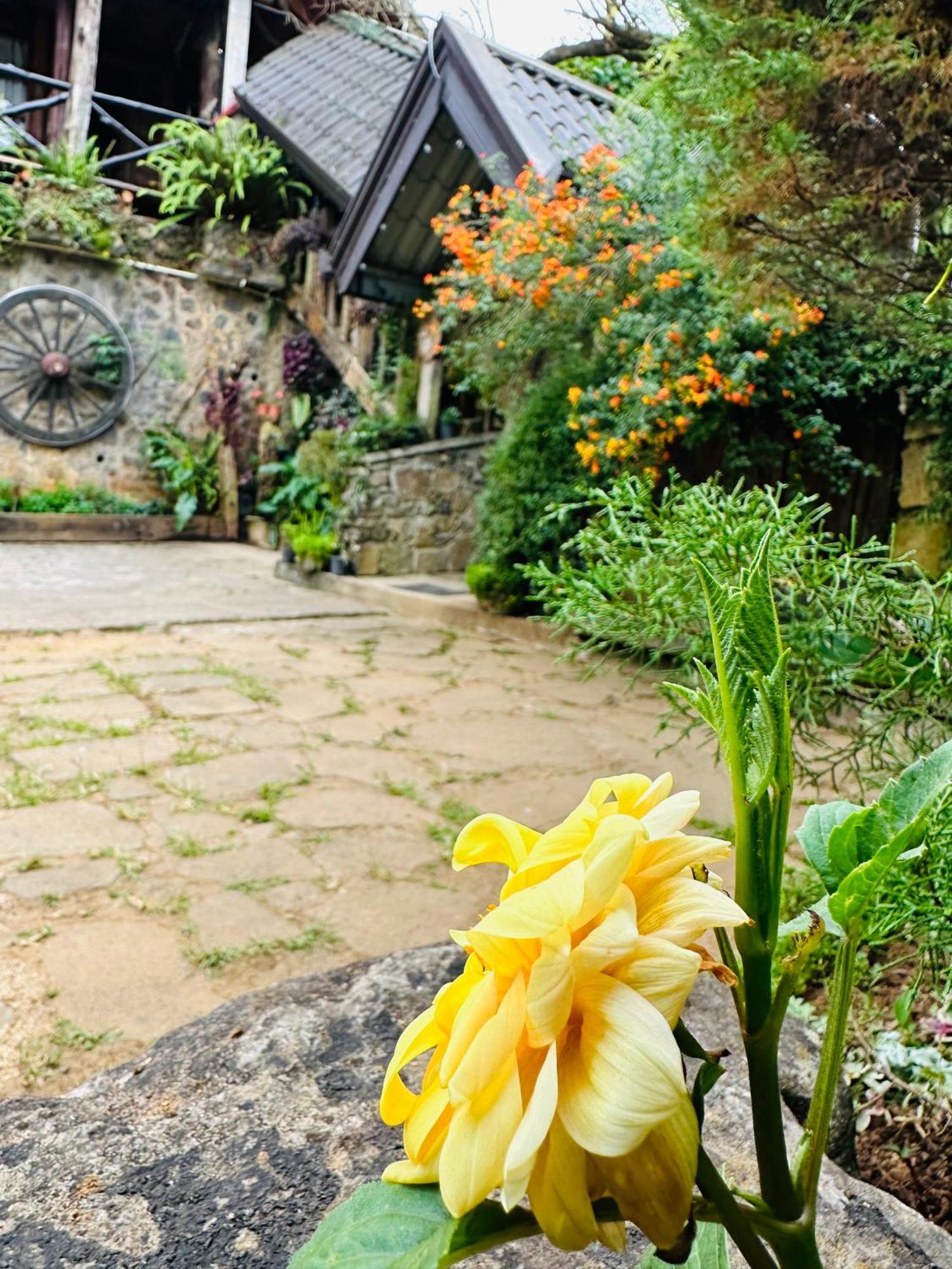 Villa 47 Nuwaraeliya Nuwara Eliya Luaran gambar
