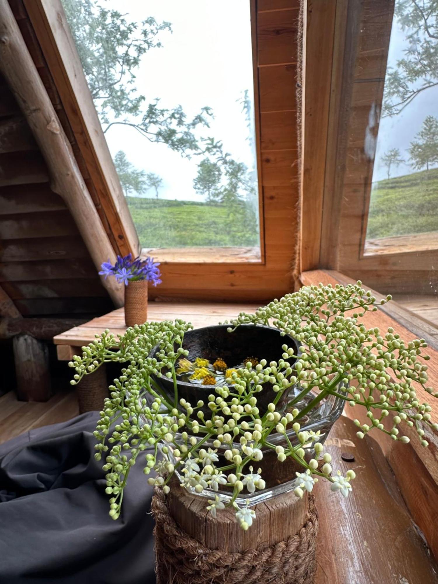 Villa 47 Nuwaraeliya Nuwara Eliya Luaran gambar
